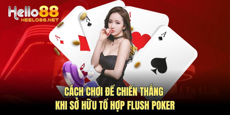 Cách chơi để chiến thắng khi sở hữu tổ hợp Flush Poker