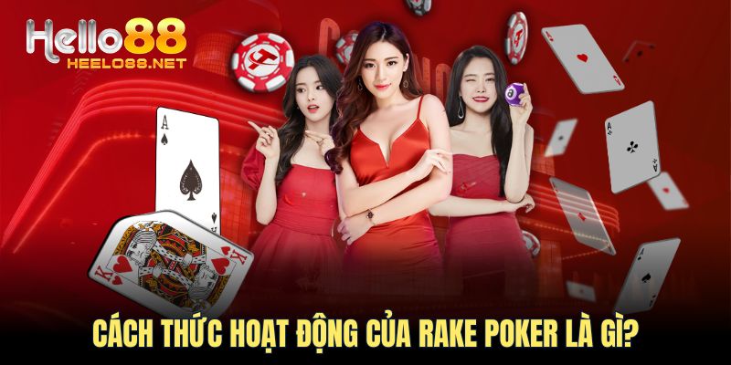 Cách thức hoạt động của Rake poker là gì?